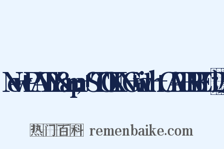 New+PANTY+&amp;+STOCKING+with+GARTERBELT近义词是什么意思的图片
